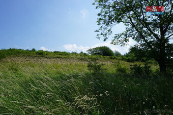 Prodej pozemku k bydlení, 5749 m², Sobětuchy - 4