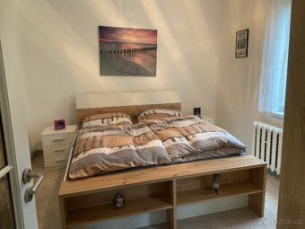 Rodinný dům 180m² 4+1 s garáží, altánem, zahrada 725m² - 4