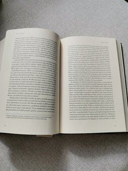 Noční oceán - Paul La Farge - 4