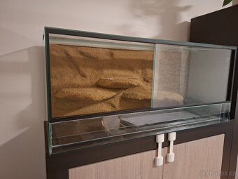 Terárium s 3D stěnou - 4