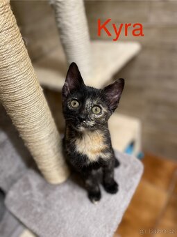 Mayla a Kyra - 4