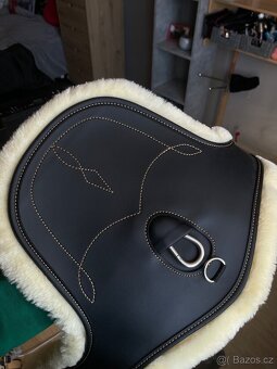 Kentucky podbřišník - 4