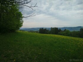 Zemědělské pozemky 6 hektarů louka Jilemnice Krkonoše - 4
