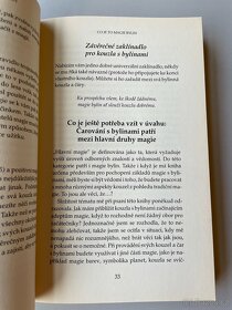 Magie bylin pro začátečníky - 4