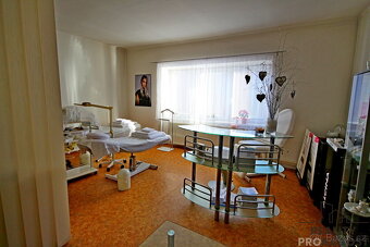 Pronájem Komerčních prostor 27 m2 - 4