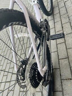 Specialized rockhopper comp 29 - 4
