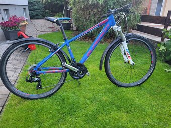 Juniorske horske kolo Superior Racer 26" - 4