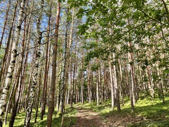 Prodej, pozemek, 8 417 m, , Nalžovice - Nalžovické Podhájí, - 4