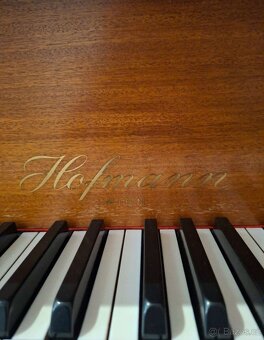 Klavirni křidlo - 4