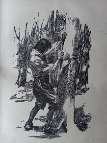 Kniha Robinson Krusoe autor F. Ruth - 4