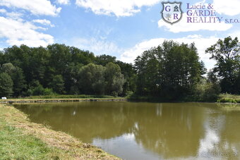 Prodej, pozemek s rybníky, Božetice - 4