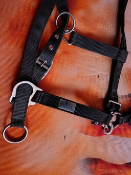 Nová ohlávka Busse riding - 4