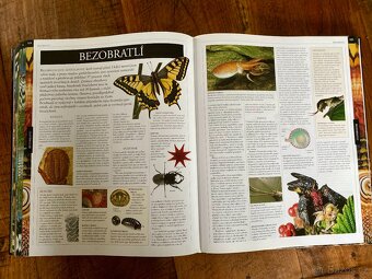 Obrazová encyklopedie Zvíře - 4