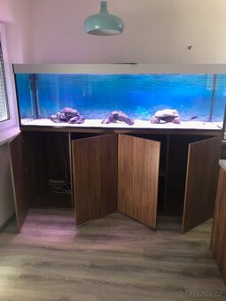 AKVÁRIUM - 4