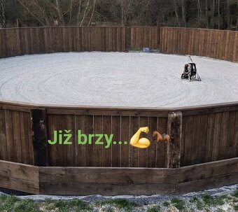 Pastevní volnè ustájení - 4