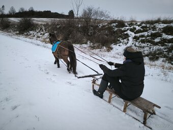Pony k dětem - 4