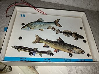 Testovací hra-Ryby - 4