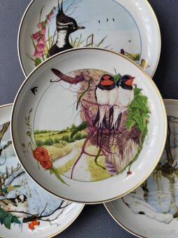 Sběratelsky talíře "Birds of thé country year" Martin Camm - 4