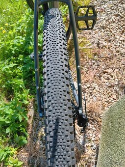 WTB Riddler 700x37 - 4