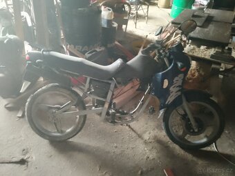 Jawa dandy 50 - 4