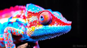 Philips The Xtra 55PML9019 Mini Led Ambilight - 4