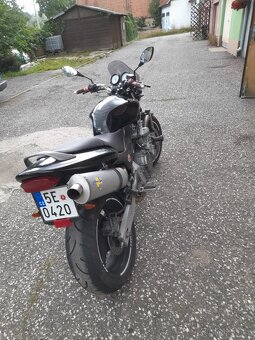 Honda hornet - 4