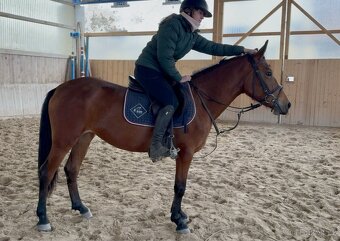 hodná pony kobylka - 4