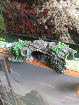 Akvárium, terárium, paludarium - 4
