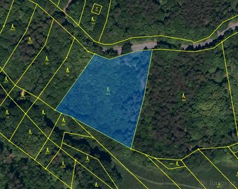 Lesní pozemek k.ú. Tísek 5.762m2 - 4
