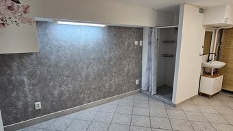 Pronájem místnosti v suterénu + sprch. kout + linka + WC - 4