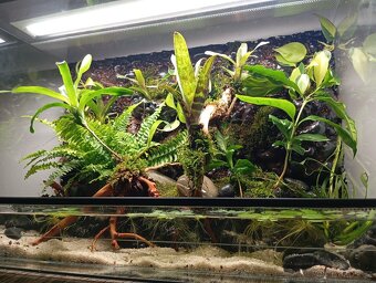 NOVÉ vybavené PALUDÁRIUM s vodopádem - 4
