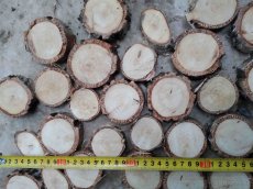 placky a kolečka z různého dřeva k vypalování,malování a pod - 4