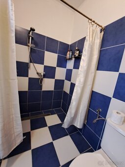 Prodej rodinného domu Radošov - 4