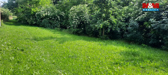Prodej zahrady, 1622 m², Loučany - 4