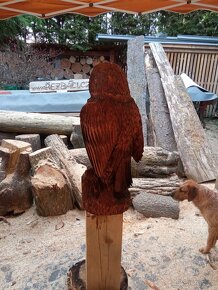 Dřevěná socha - sova - 4