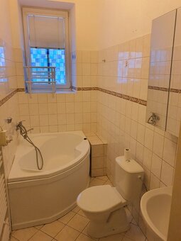 Pronájem 3+1 Děčín IX-Bynov, garáž, zahrada - 4