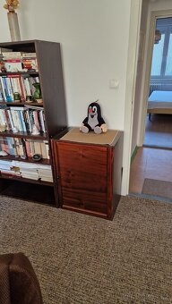 Obývací stěna spolu se šatní skříní - 4