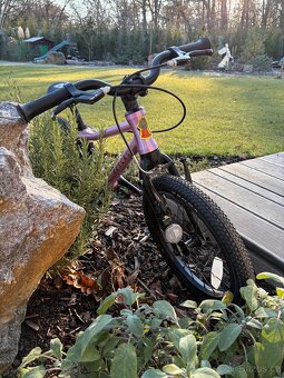 Růžové kolo Rascal 16 - 4