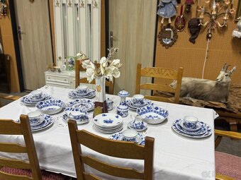 Německý cibulák - 4