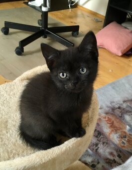 Vyhozená maminka - 4