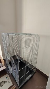 Papouščí klec🦜 - 4