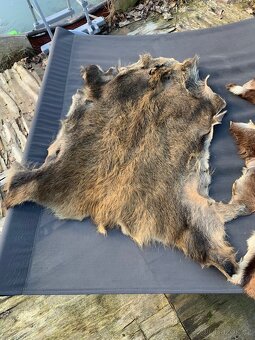 Jeleni a prasečí kůže - 4