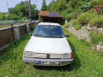 Peugeot 205 - 4