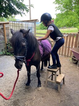Pony valach 4r - miláček dětí - 4