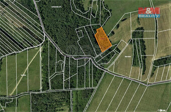 Prodej louky, 4646 m², Borotín u Boskovic - 4