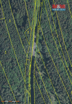 Prodej lesa, 47352 m², Loučka - 4
