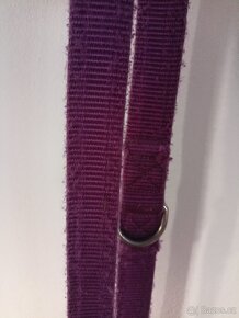 Vodítko Red Dingo pro psy - 4