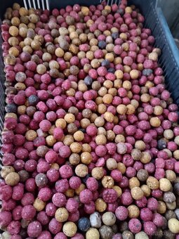 Odpadové Boilies 40 Kč 1 kg - 4