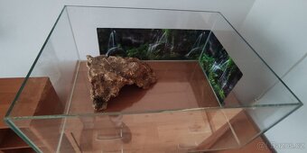 Akvárium - terárium + želva. - 4