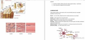 Maturitní otázky biologie - 4
